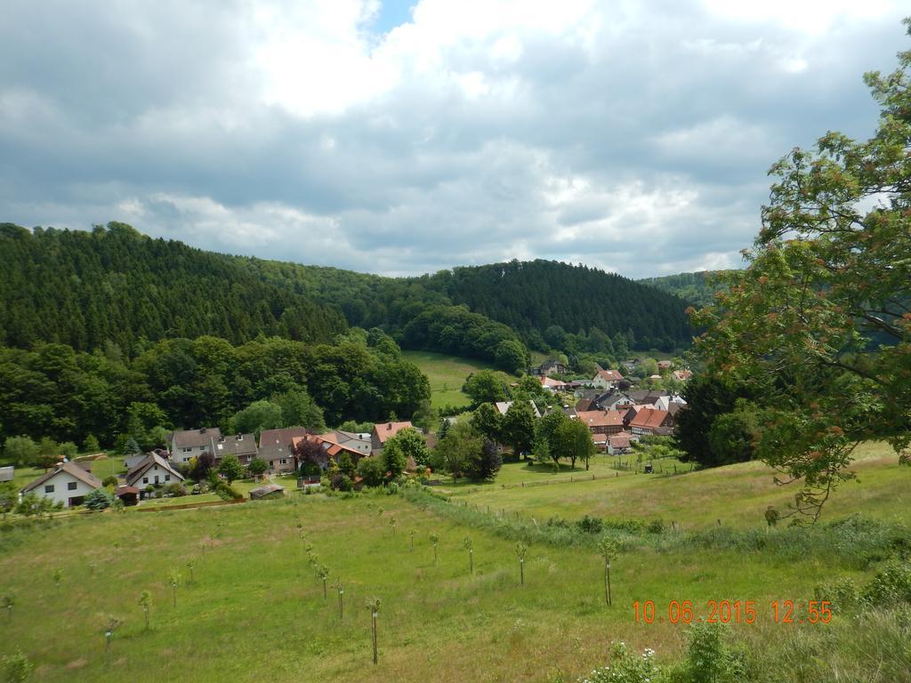 Gasthaus Kohlerhof Ξενοδοχείο Delliehausen Εξωτερικό φωτογραφία